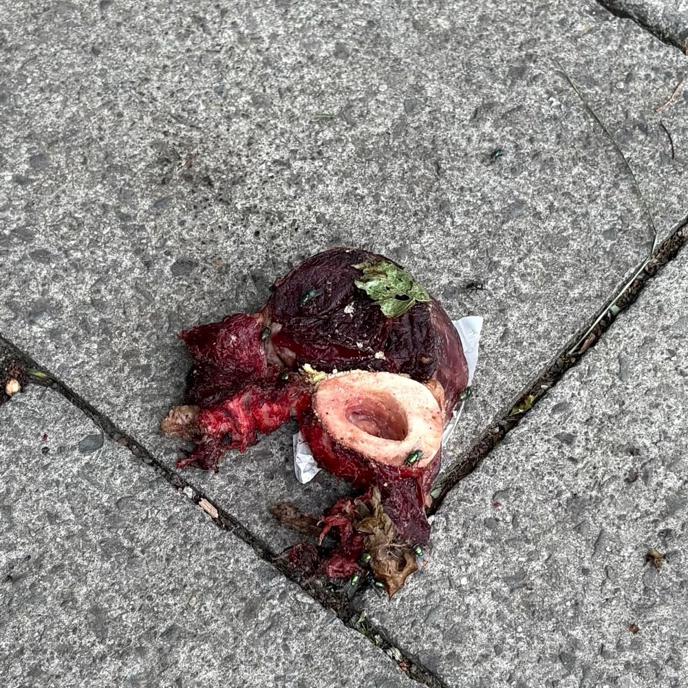 Giftköder-Giftköder-Profilbild