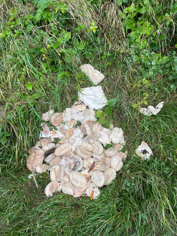 Giftköder-Brot, Brötchen, Wraps und Fleischreste-Profilbild