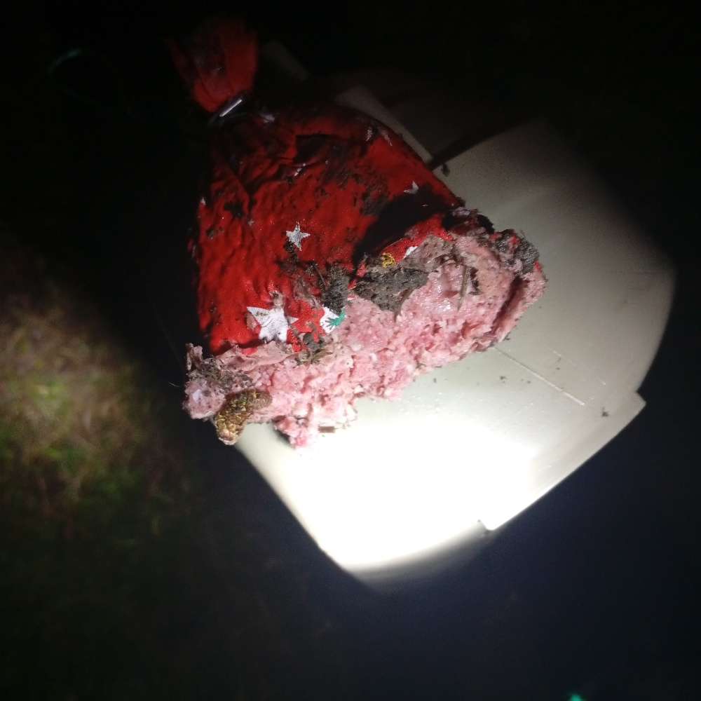 Giftköder-Giftköder-Profilbild