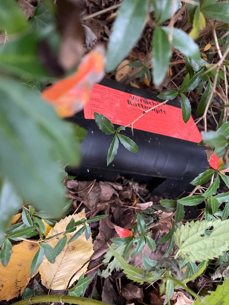 Giftköder-Rattengift im Hammer Park-Profilbild