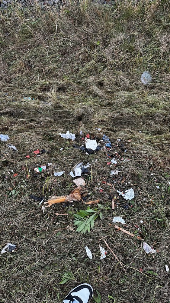 Giftköder-Müll und Spitze Gegenstände-Profilbild