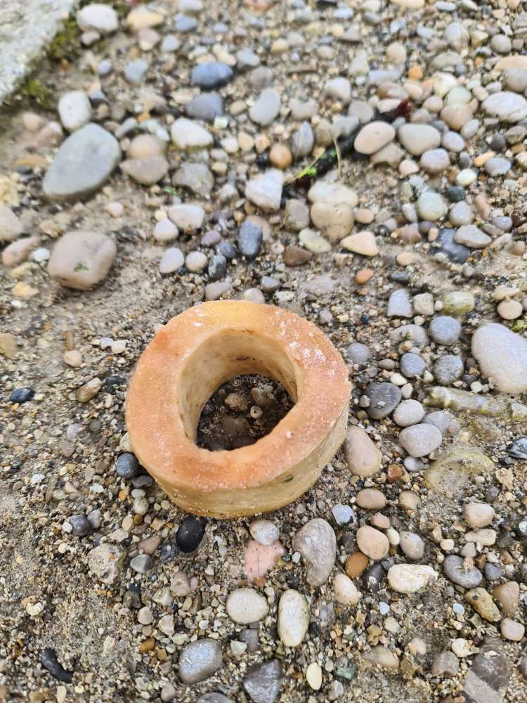 Giftköder-Evtl. Giftköder-Profilbild