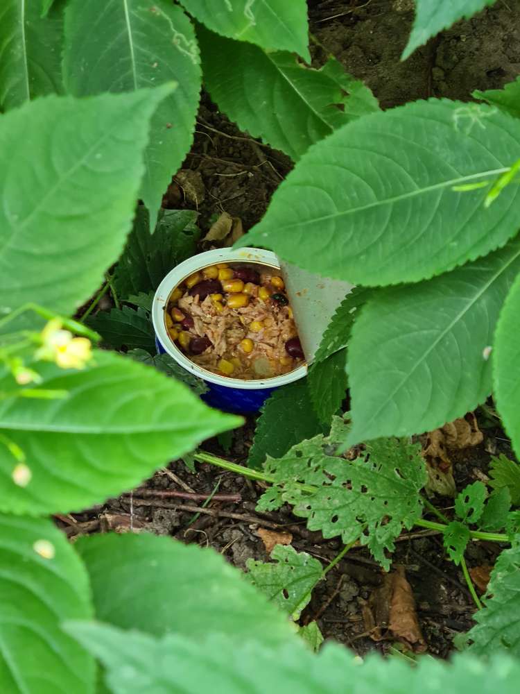 Giftköder-Thunfischdose mit Mais und Bohnen-Profilbild