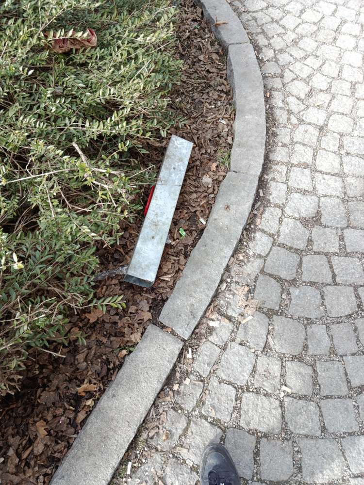 Giftköder-Rattenbekämfung-Profilbild