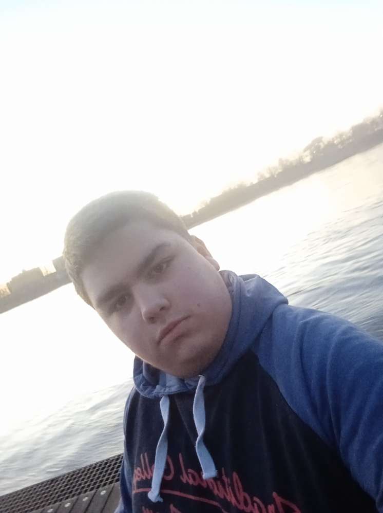 Hundetreffen-Altersklassen-Profilbild