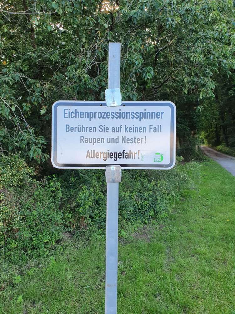 Giftköder-Eichenprozessionsspinner-Profilbild