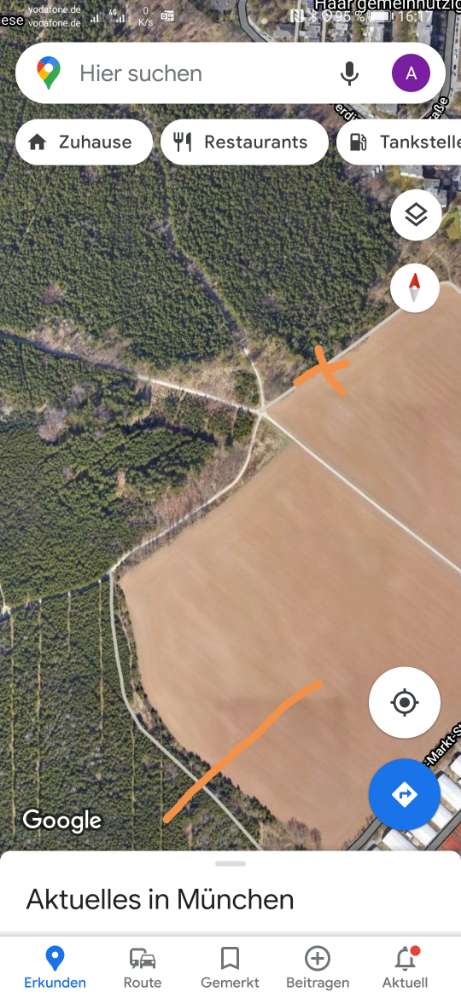 Giftköder-Riesenbärenklau-Profilbild