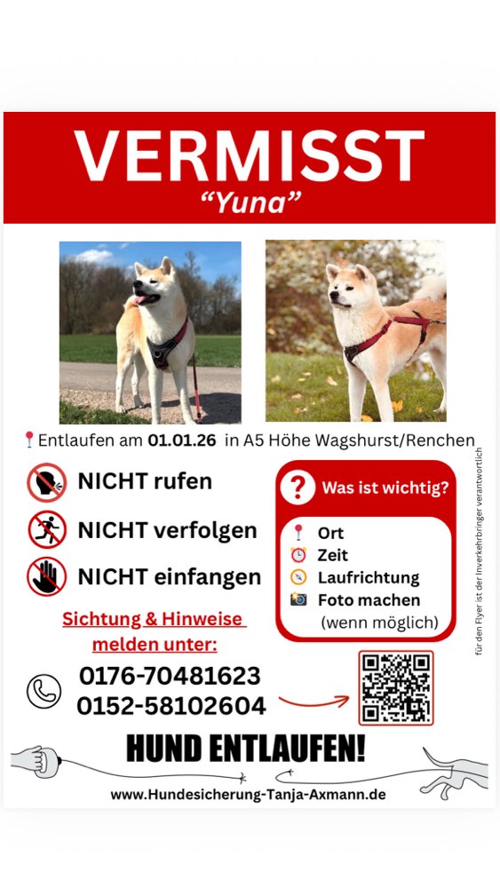 Suchmeldung-Yuna-Profilbild
