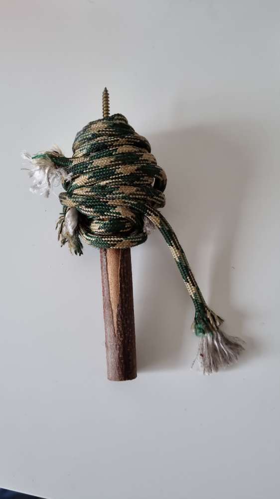 Giftköder-Hundefalle-Profilbild