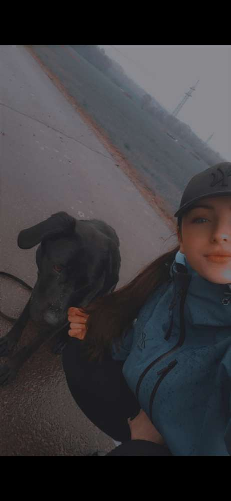 Hundetreffen-Hundebegegnungen - Trainingsrunden-Profilbild