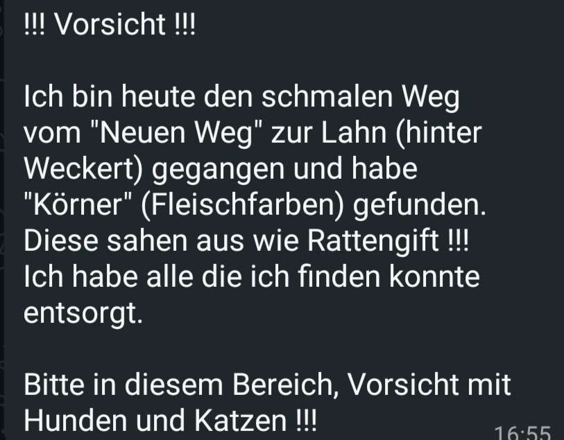 Giftköder-Rattengift (?)-Profilbild