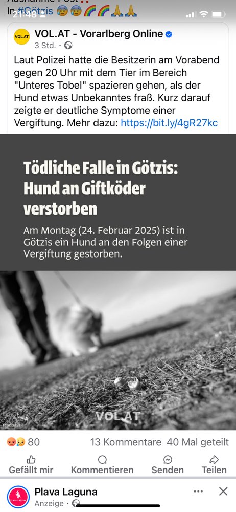 Giftköder-Giftköder-Profilbild
