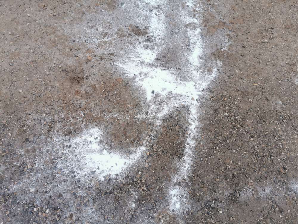 Giftköder-weißes Pulver-Profilbild