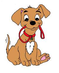 Hundetreffen-Liebevolle Betreuung für Wochenenden-Profilbild