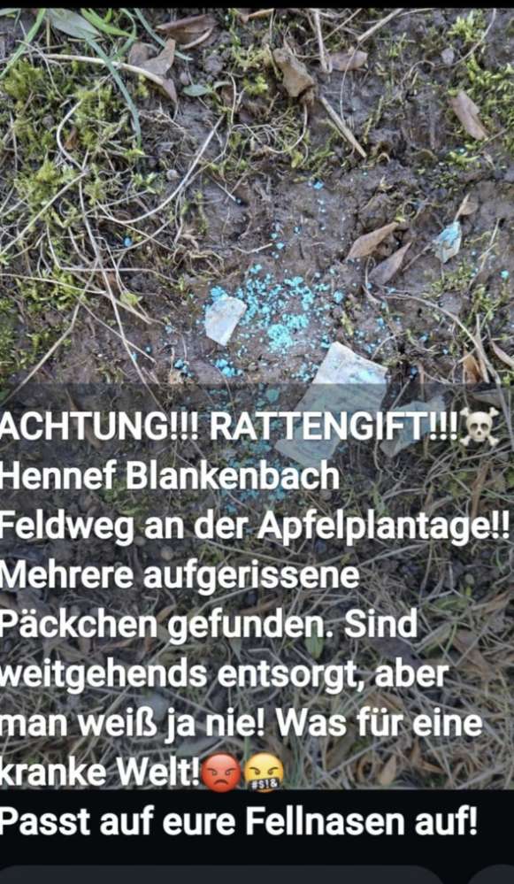 Giftköder-Rattengift-Profilbild