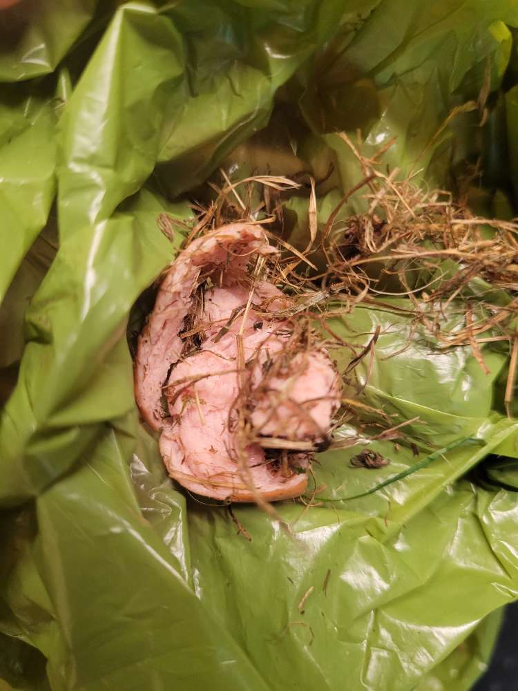 Giftköder-Verstecktes Trockenfutter + Wurststücke-Profilbild