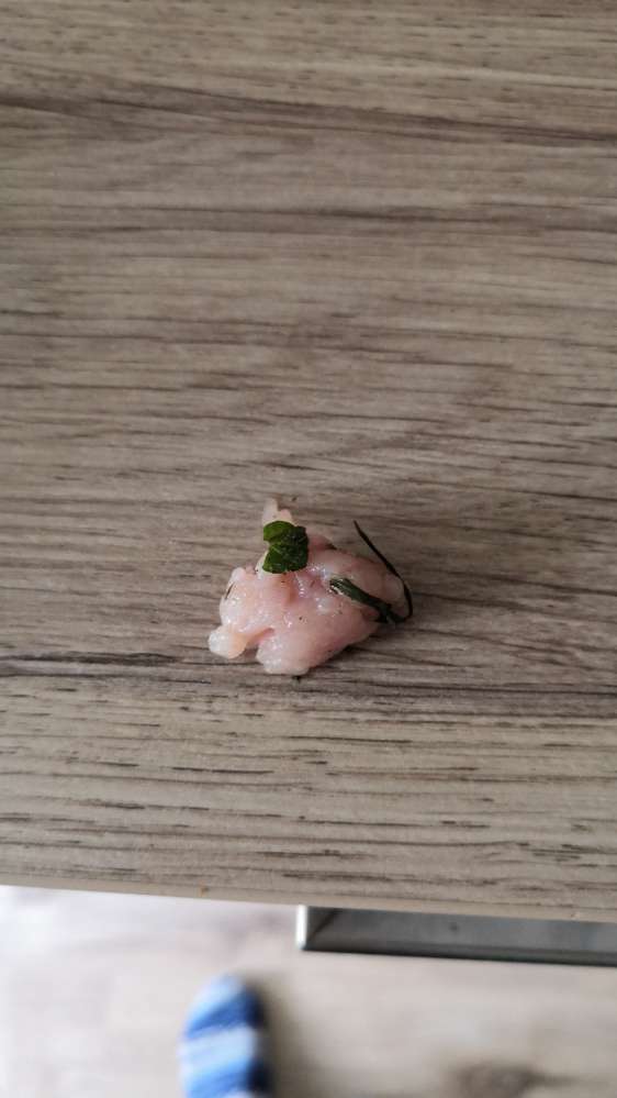 Giftköder-Rohes Stück Fleisch direkt vorm Haus-Profilbild