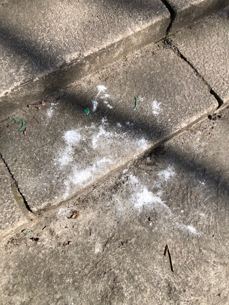 Giftköder-Weißes Pulver im Stadtpark Lichtenberg-Profilbild