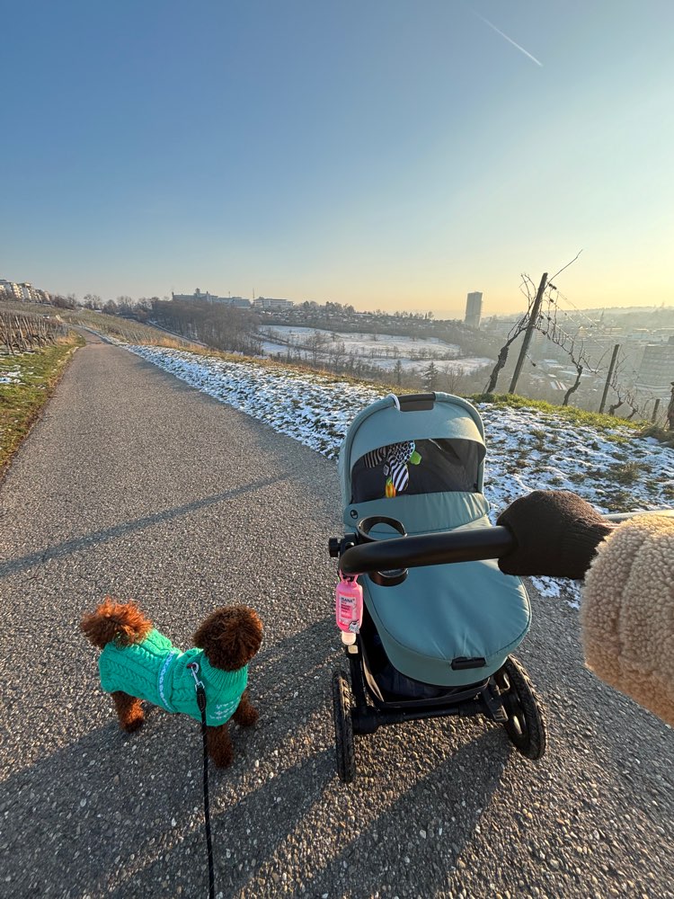 Hundetreffen-Gassirunde & Spielrunde-Profilbild