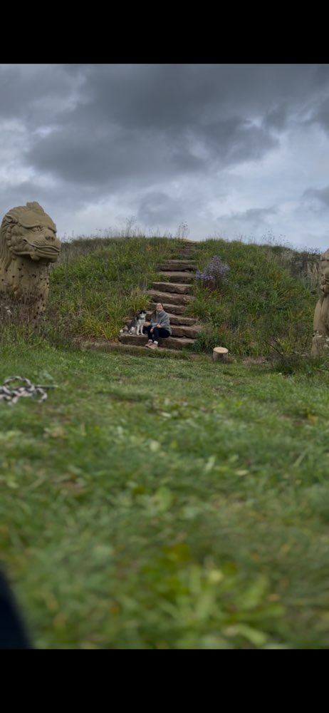 Hundetreffen-Spielen und Gassi gehen-Profilbild