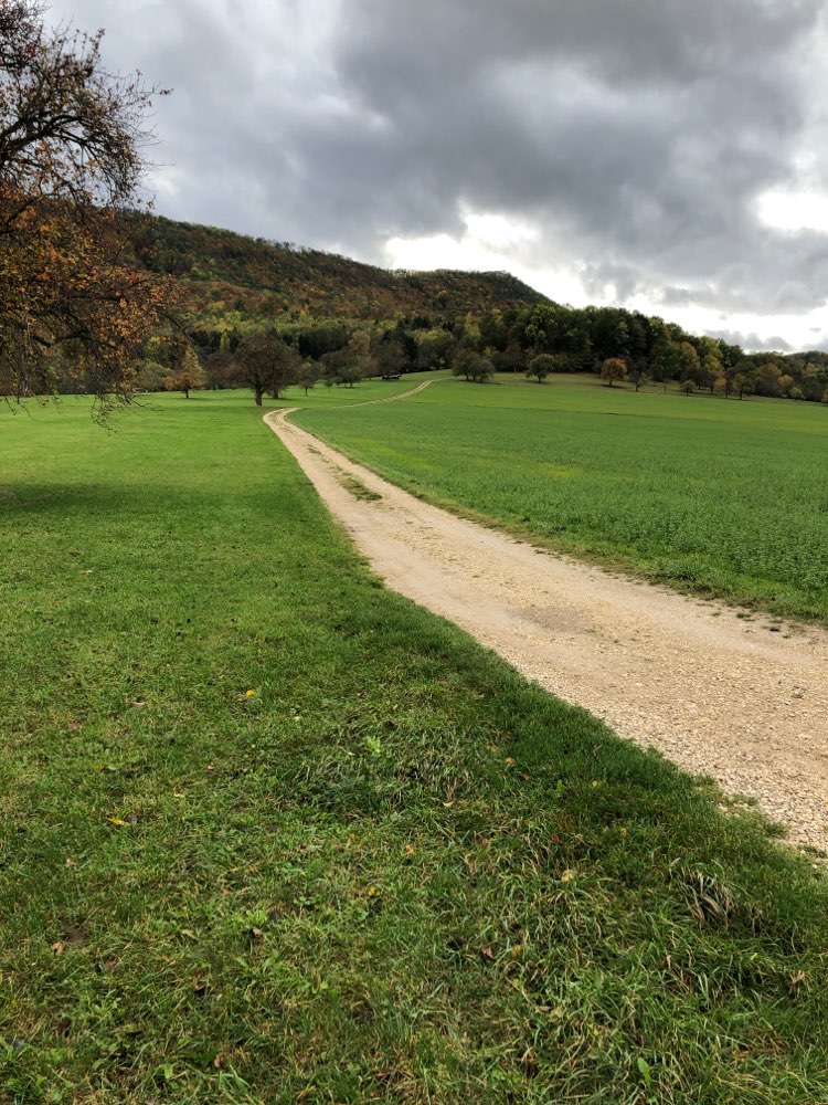 Giftköder-Mehrere Knochen am Weg-Profilbild