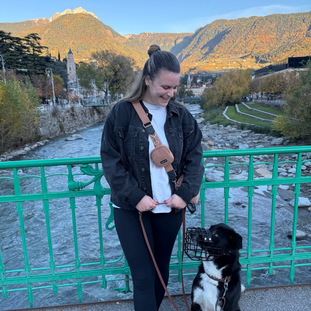 Hundetreffen-Sozial Walk, Gemeinsames Gassi gehen-Profilbild