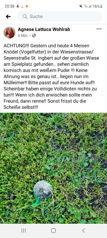 Giftköder-Meisen Knödel mit weißen Pulver-Profilbild