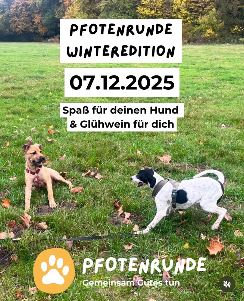Hundetreffen-Pfotenrunde Winteredition - gemeinsam Gutes tun-Profilbild