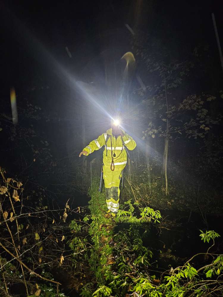 Hundetreffen-Rettungshundestaffel sucht Nachwuchs-Profilbild