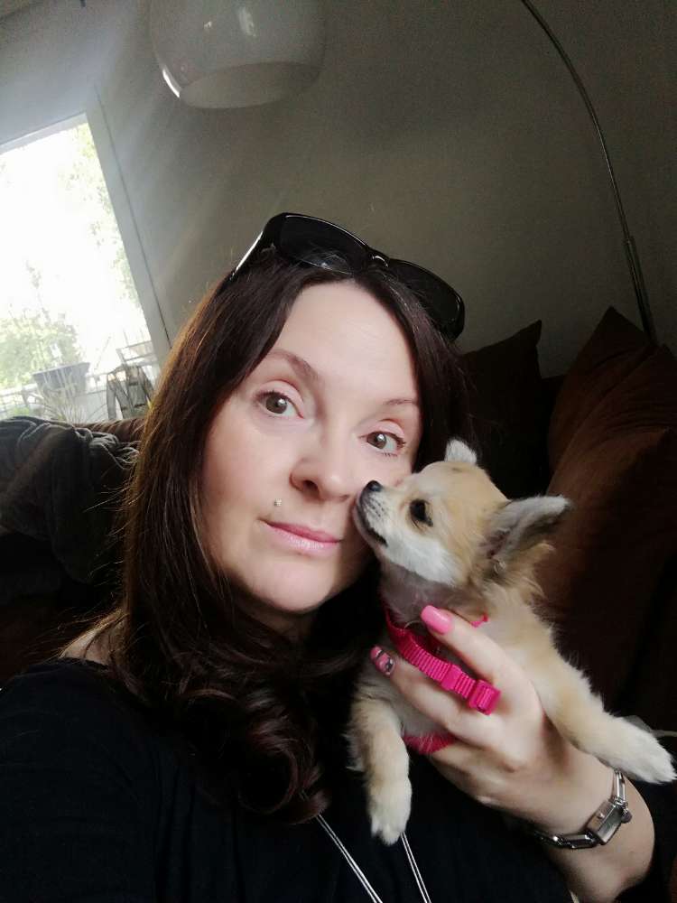 Hundetreffen-Chihuahua-Profilbild