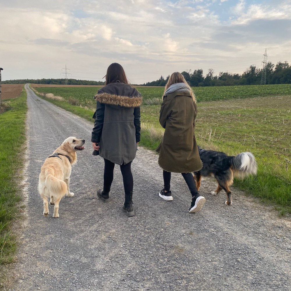 Hundetreffen-WhatsApp-Gruppe-Profilbild