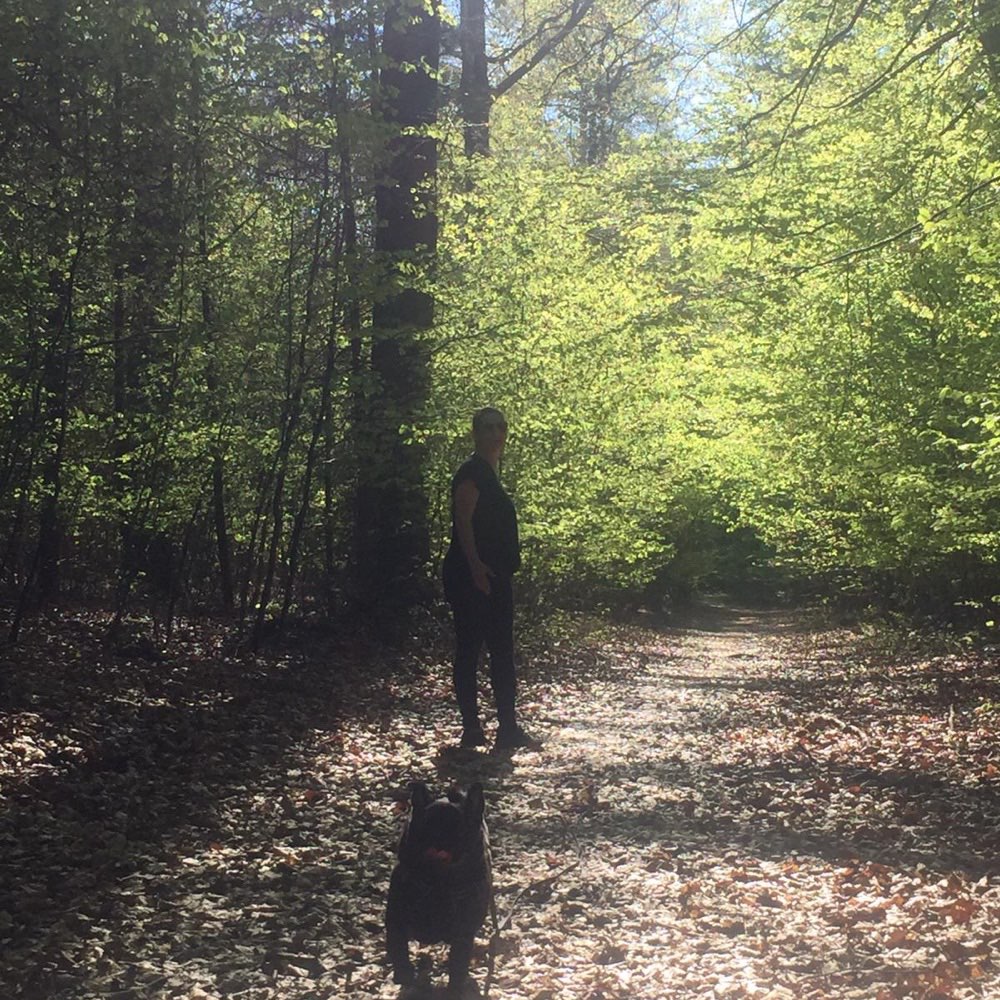 Hundetreffen-Spielen und gassi gehen-Profilbild