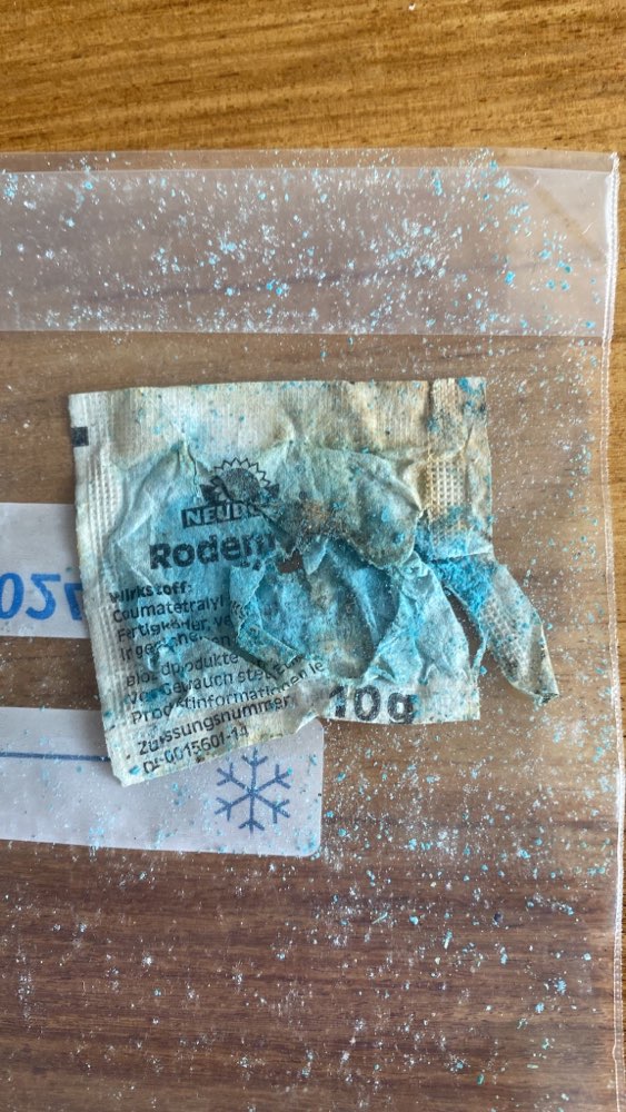 Giftköder-Giftköder-Profilbild