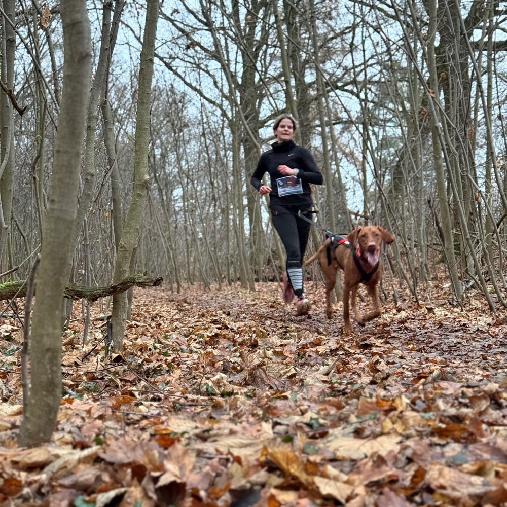 Hundetreffen-Canicross Trainingspartner gesucht-Profilbild
