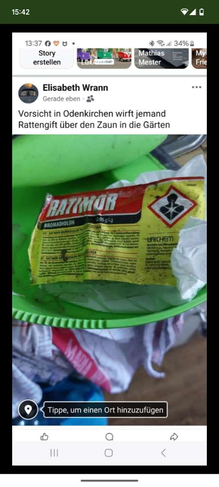 Giftköder-Rattengift in Gärten-Profilbild