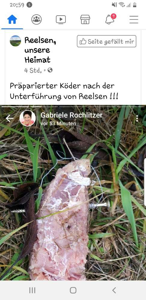 Giftköder-Präparierter Fleischköder-Profilbild