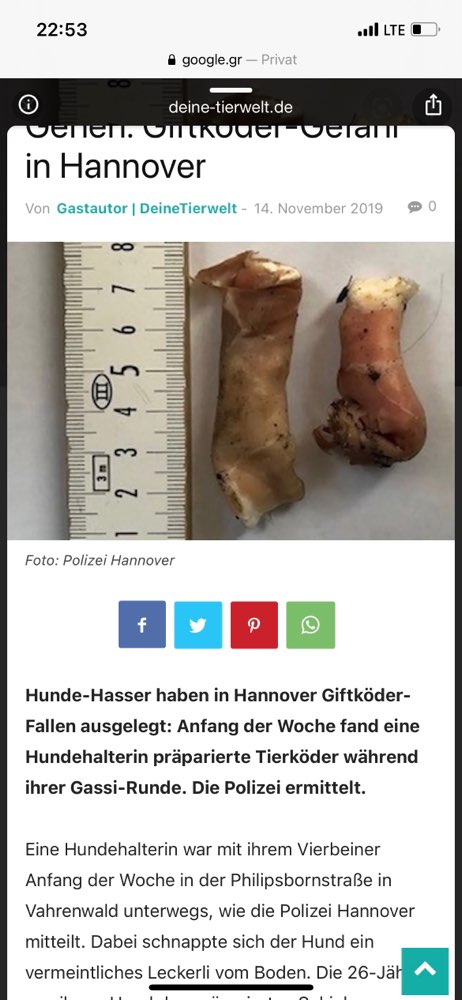 Giftköder-Giftköder-Profilbild