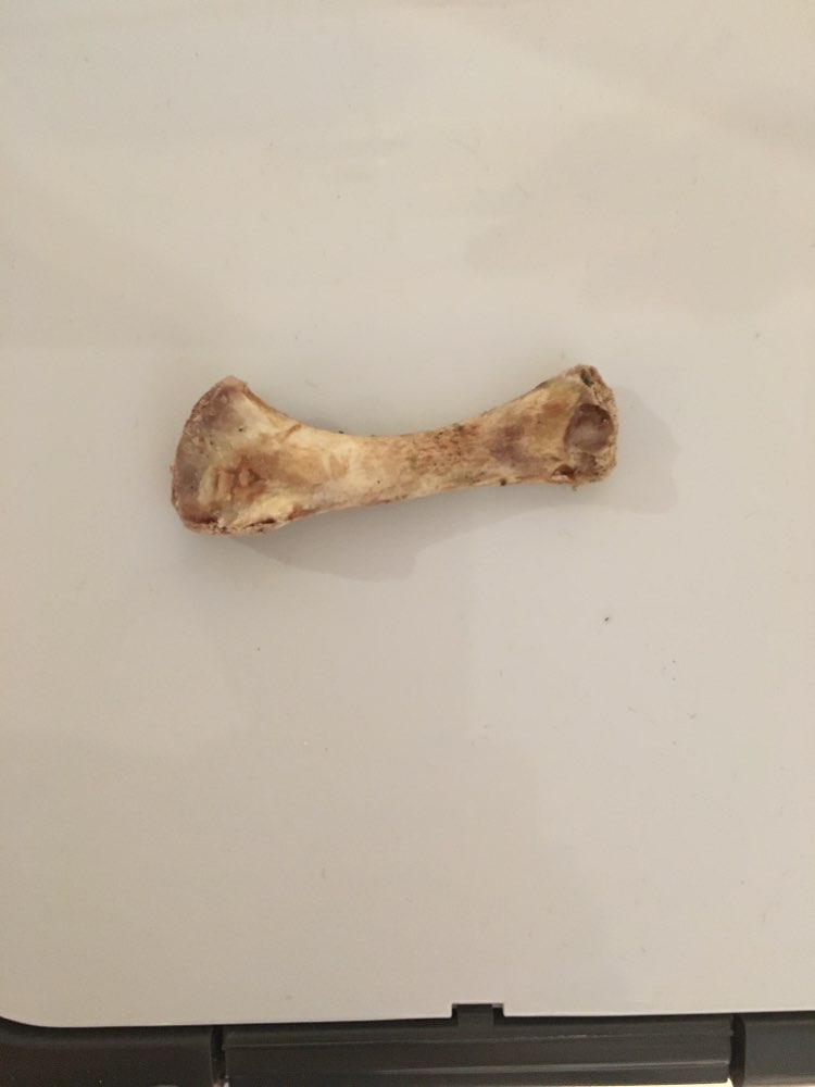 Giftköder-Knochen gefunden-Profilbild