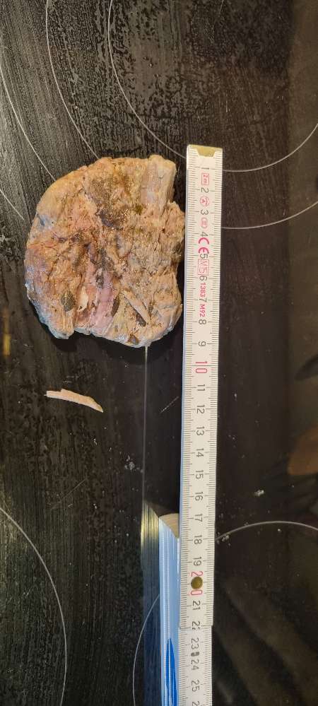 Giftköder-Gekochtes Fleischstück-Profilbild