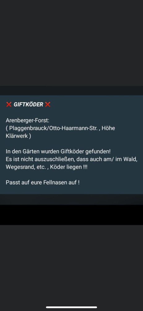 Giftköder-Gift-Profilbild