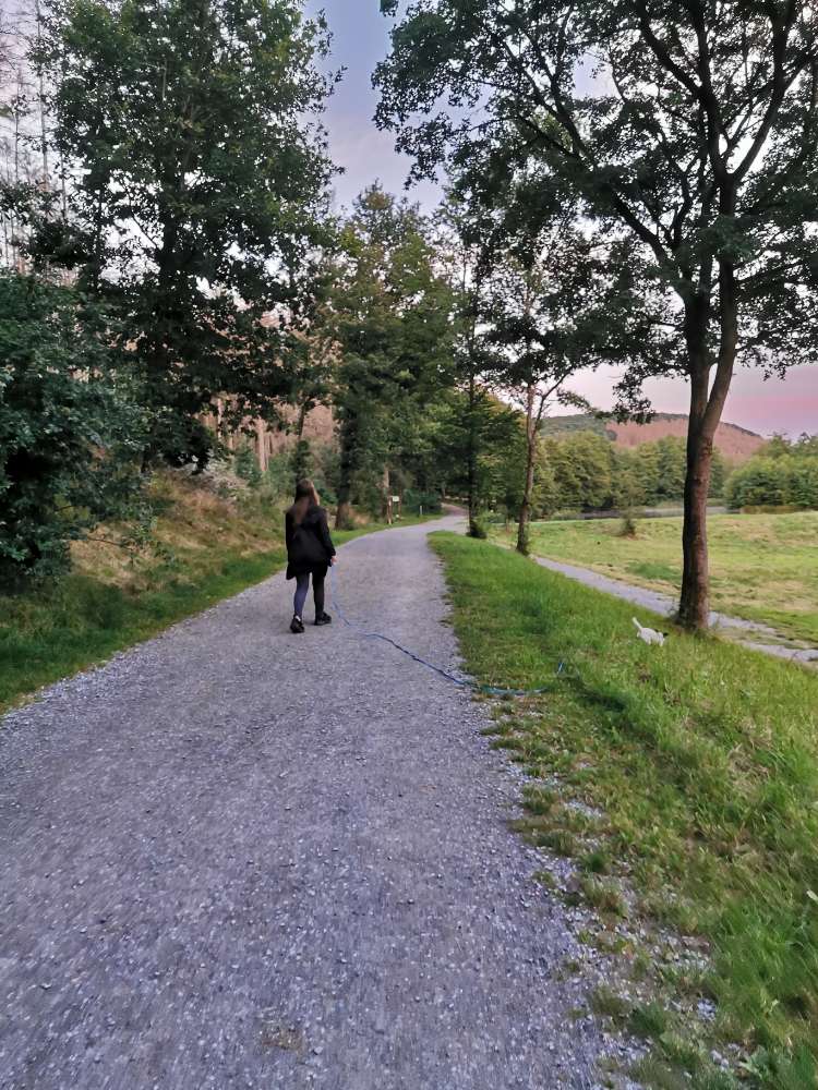 Bibertal Rüthen – Hundeauslaufgebiet in Rüthen – Dogorama App