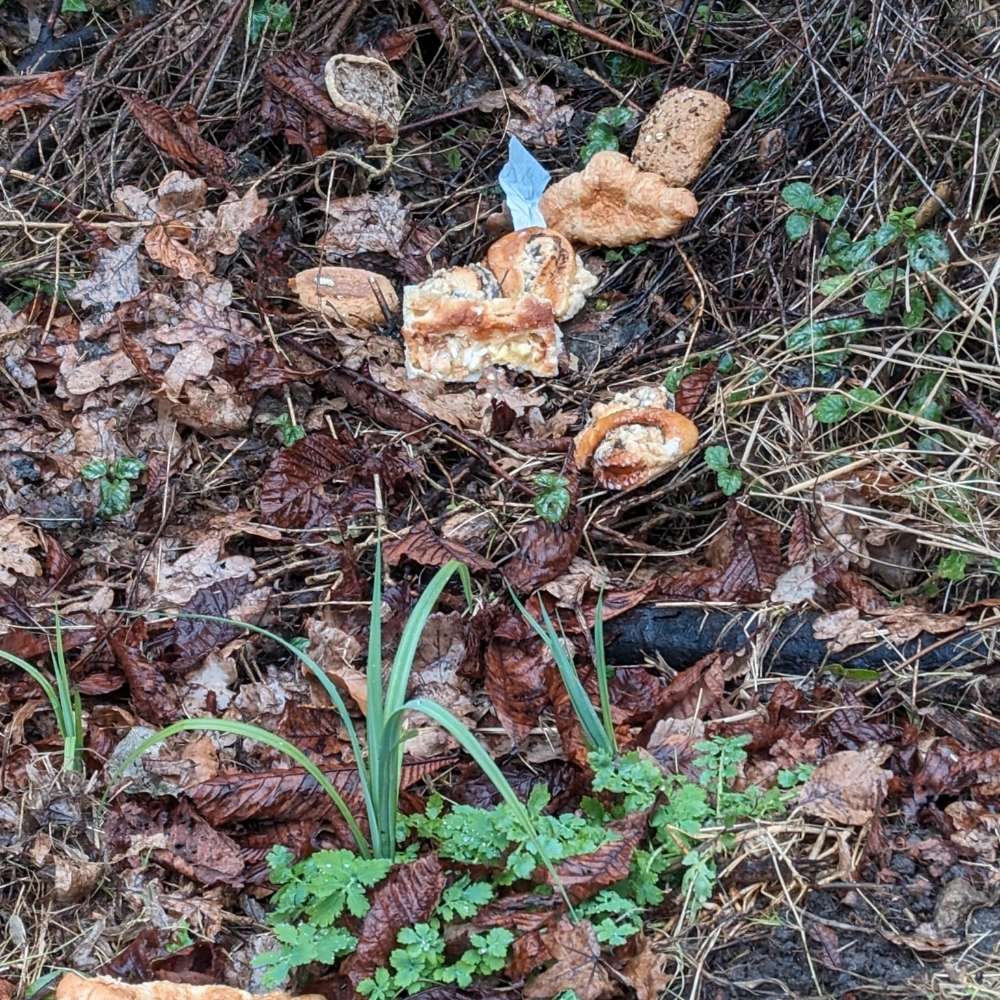 Giftköder-Brot sowie Gebäck-Profilbild