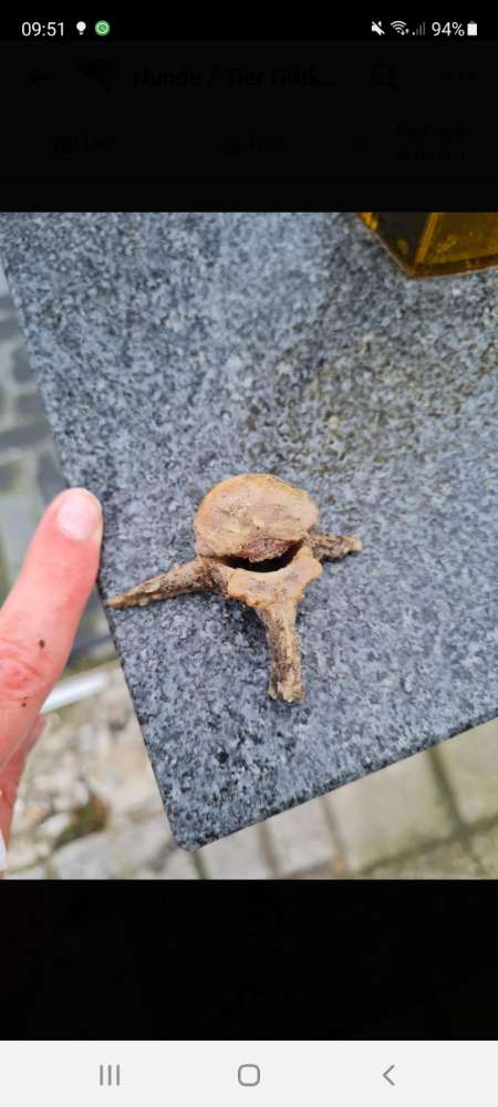 Giftköder-Spitzer Knochen!!!-Profilbild