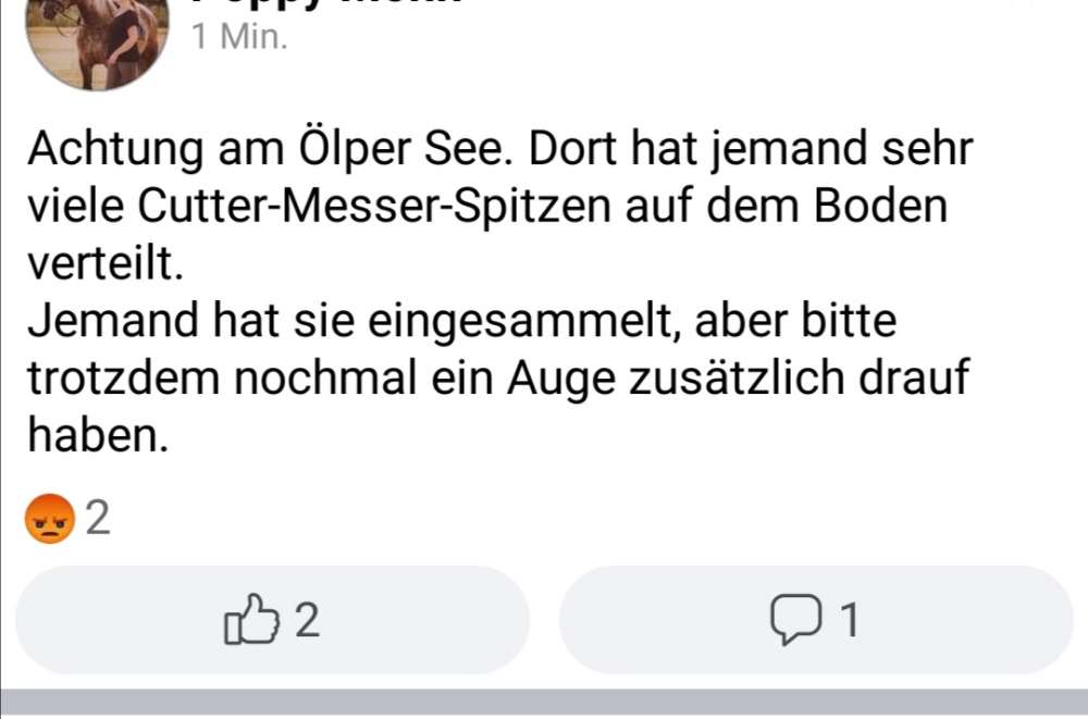 Giftköder-Cutter Messer Spitzen am Ölper See-Profilbild