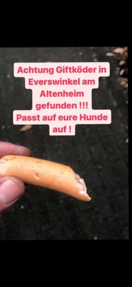 Giftköder-Vermutlich Giftköder-Profilbild