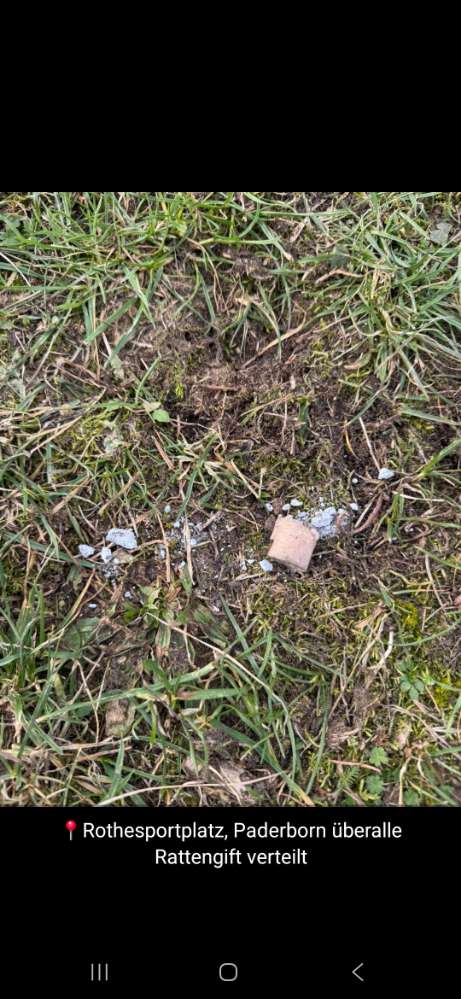 Giftköder-Giftköder-Profilbild