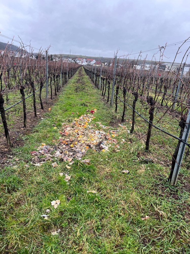 Giftköder-Achtung! Lauter vergammelter Müll-Profilbild