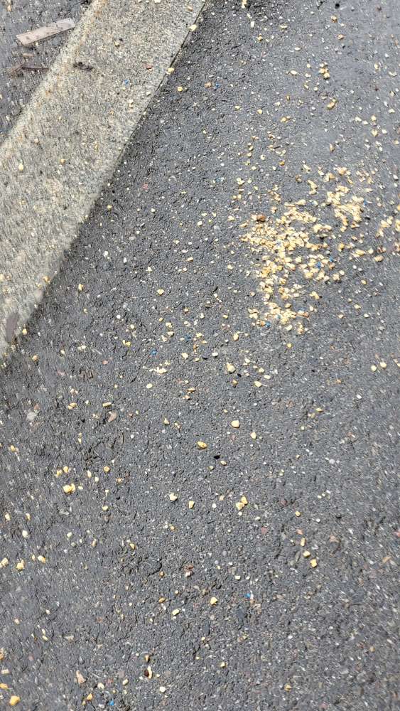 Giftköder-Giftköder-Profilbild