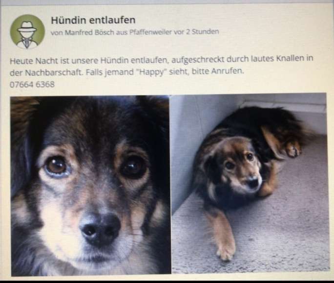 Suchmeldung-Happy-Profilbild