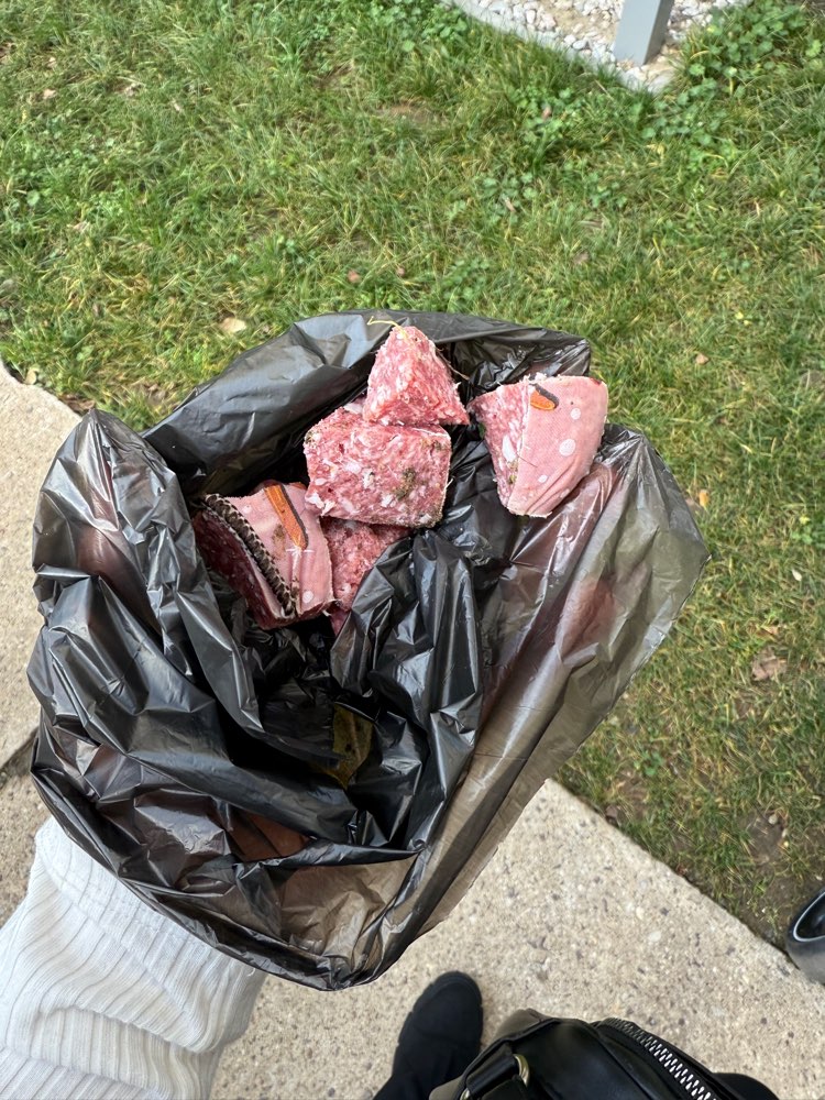 Giftköder-Vermutlich Giftköder-Profilbild